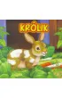 Królik