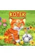 Kotek JAFI