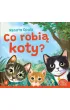 Co robią koty?