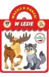 Maluj z pasją. W lesie