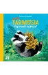 Mała Tarmosia. Czy borsuki się bawią?