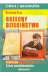 Grzechy dzieciństwa (lektura z opracowaniem)