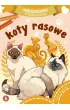 Koty rasowe. Maluszkowe malowanie