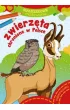 Maluszkowe malowanie. Zwierzęta chronione w Polsce