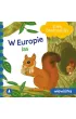 W Europie. Las. Wiewiórka