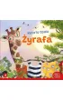 Żyrafa